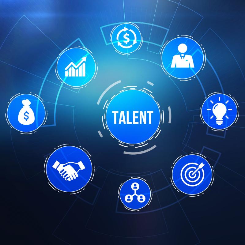 India’s Talent Advantage: The Foundation of Its Investment Appeal